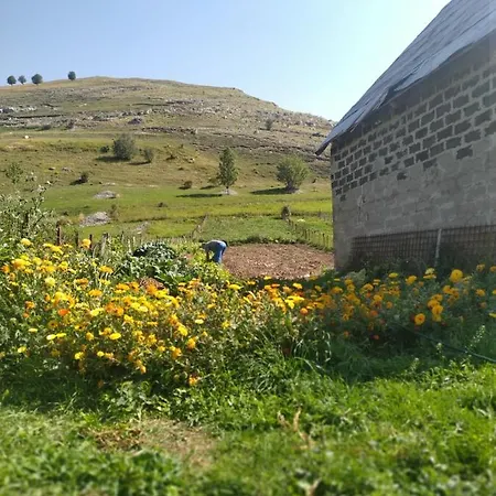 Appartement Prenociste B&m - *