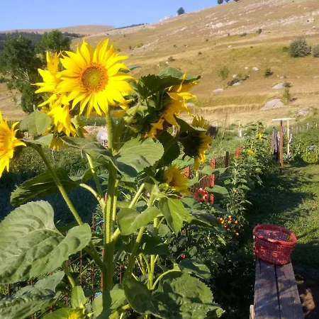 Prenociste B&m - アパート