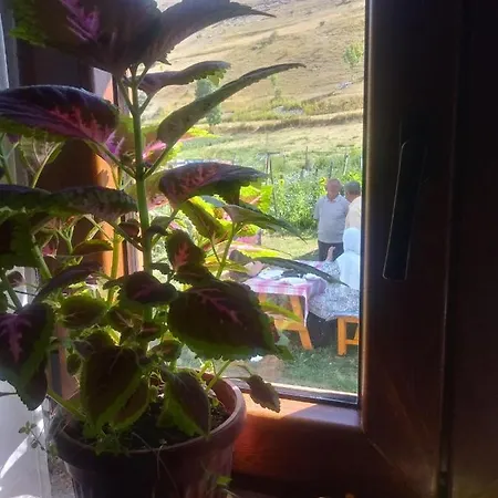 Prenociste B&m - Appartement *