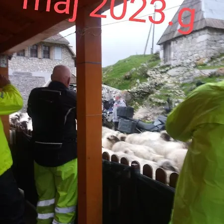 Prenociste B&m - Appartement